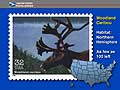  Caribou