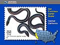  Garter Snake