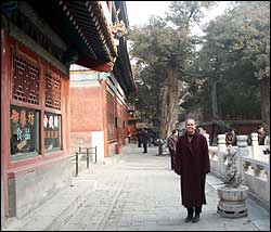 Jane in the Forbidden City - Beijing