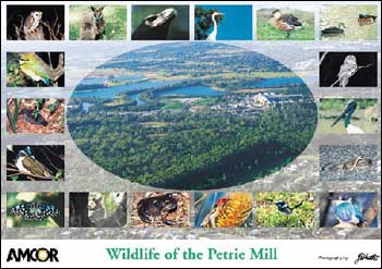 Petrie Mill wildlife poster