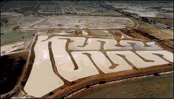 Aerial view of wetlands
