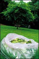 Biodegradable plastic bag