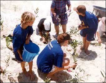 Coastcare tree planting