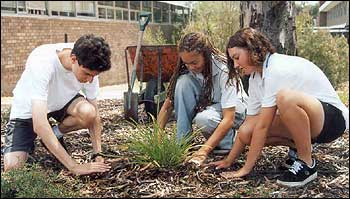 Teenagers planting trees
