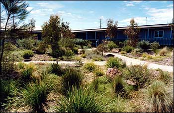 Basaltica Water Wise Garden after 18 months