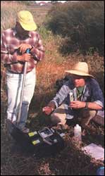 Testing water quality at Westona Wetlands