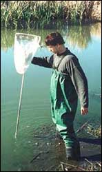 Testing water quality at Westona Wetlands