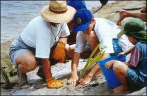 Coastcare group planting on the dunes - photo from Coastcare