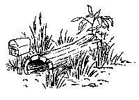 Echidna home