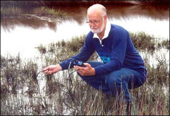 Measuring water levels