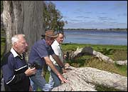 Bird watching at Big Swamp