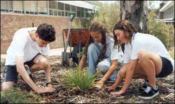 Telstra tree planting day