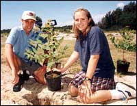 Teenagers planting tree