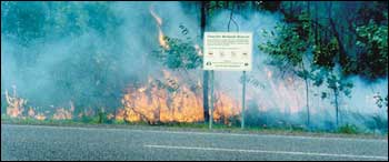 Controlled burning in Northern Territory