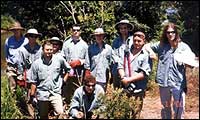Tree planting group Queensland