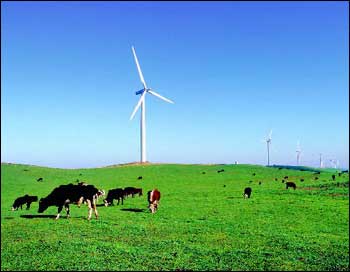 Codrington Wind Farm