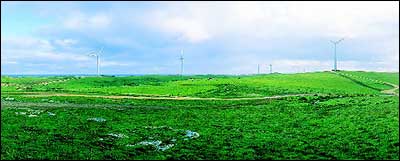 Codrington Wind Farm