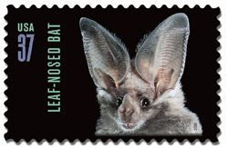 leaf-nosed bat stamp
