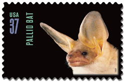 pallid bat stamp