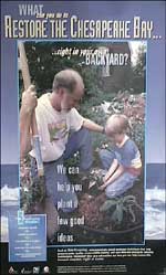 Chesapeake Bay poster