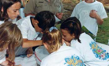 Students involved in Science lessson on water